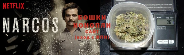 гидра Белоозёрский