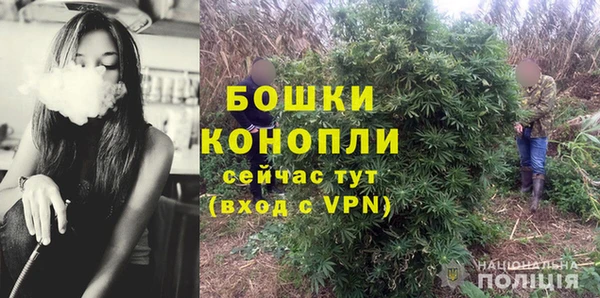 гидра Белоозёрский