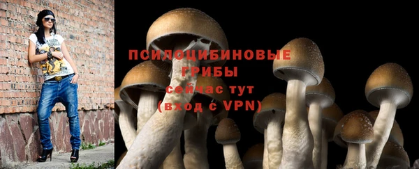 COCAINE Белокуриха